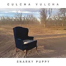 Snarky Puppy / Culcha Vulcha