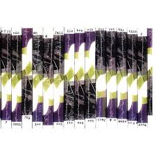 Burnt Friedman & Jaki Liebezeit / Secret Rhythms, Vol. 2