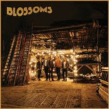 Blossoms / Blossoms