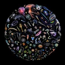 J. Ralph / Racing Extinction (Original Motion Picture Soundtrack)