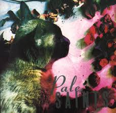 Pale Saints / The Comforts Of Madness
