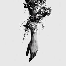 mouse on the keys / the flowers of romance