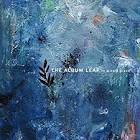 In a Safe Place / The Album Leaf (2004)