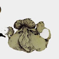 COIL / The Ape of Naples