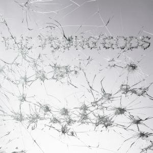 The Young Gods / Appear Disappear