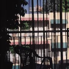 Section 25 / Dark Light