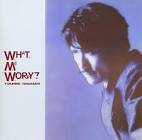 WHAT, ME WORRY? / 高橋幸宏 (2001)